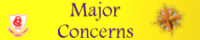 Major Concerns